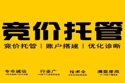 实战案例：SEM专员如何优化广告